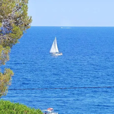 Villa Colette 1364 Les Issambres